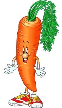 Морковь - полезные свойства и витамины 