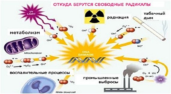 Свободные радикалы фото