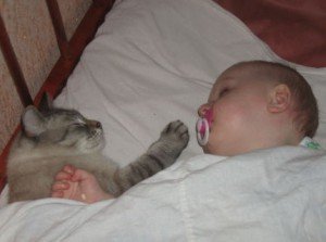 Новорожденный ребенок и животные в доме 