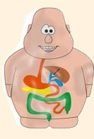 Болезни желудочно-кишечного тракта