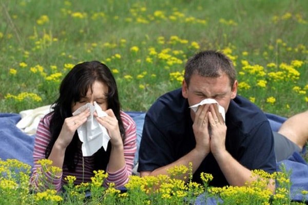 Сезонная аллергия 