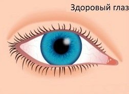 Здоровый глаз 