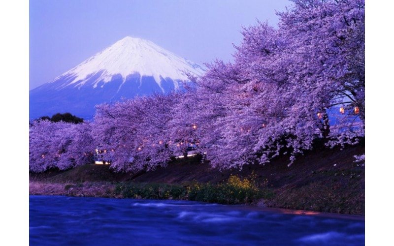 Фотообои с изображением Японии 
