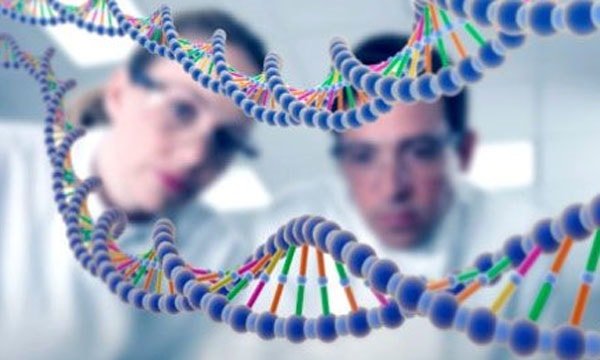 Гены и предрасположенность к заболеваниям 