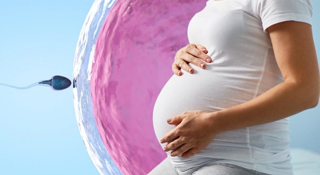 Эко беременность – здоровье и счастье! 