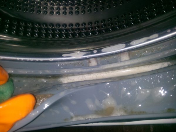 Плесень в стиральной машине: как почистить в домашних условиях. 