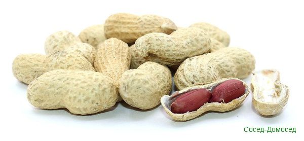 Арахис каждый день? 10 причин чаще кушать арахис. 