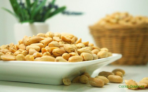 Арахис каждый день? 10 причин чаще кушать арахис. 